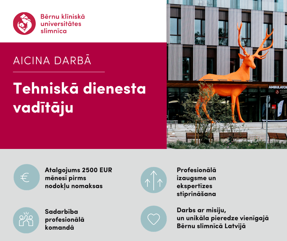 Tehniska dienesta vaditajs