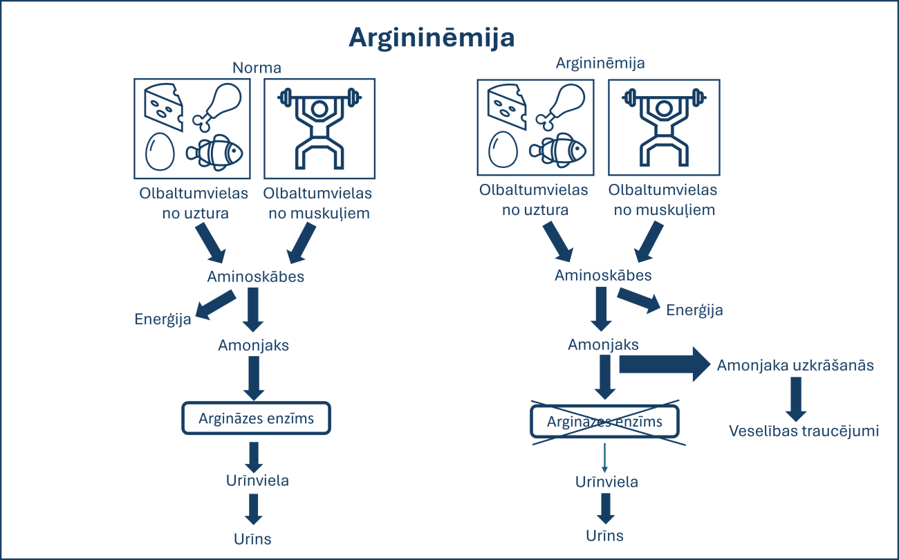 Argininēmija